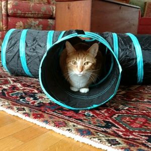 Meet your Posher, Cindy